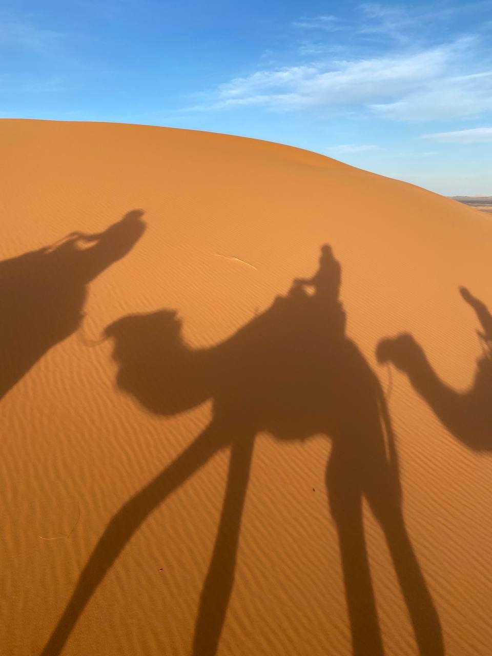 Большое приключение в Королевство Марокко (29/105)