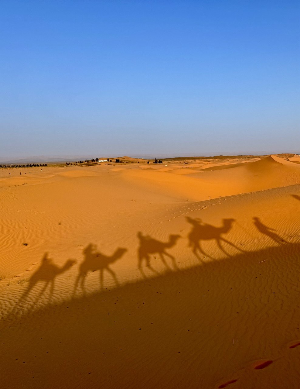 Большое приключение в Королевство Марокко (67/105)