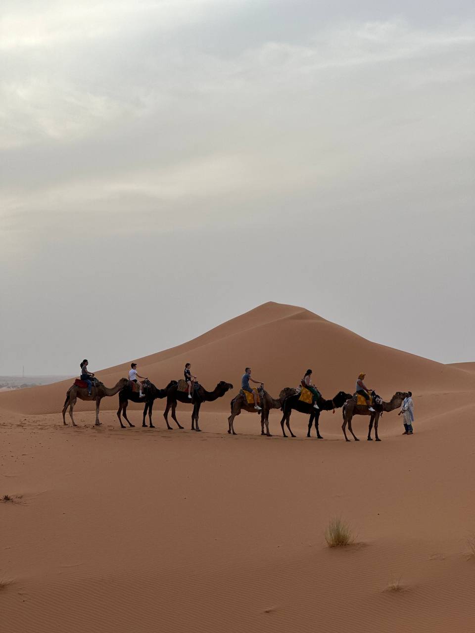 Большое приключение в Королевство Марокко (27/105)