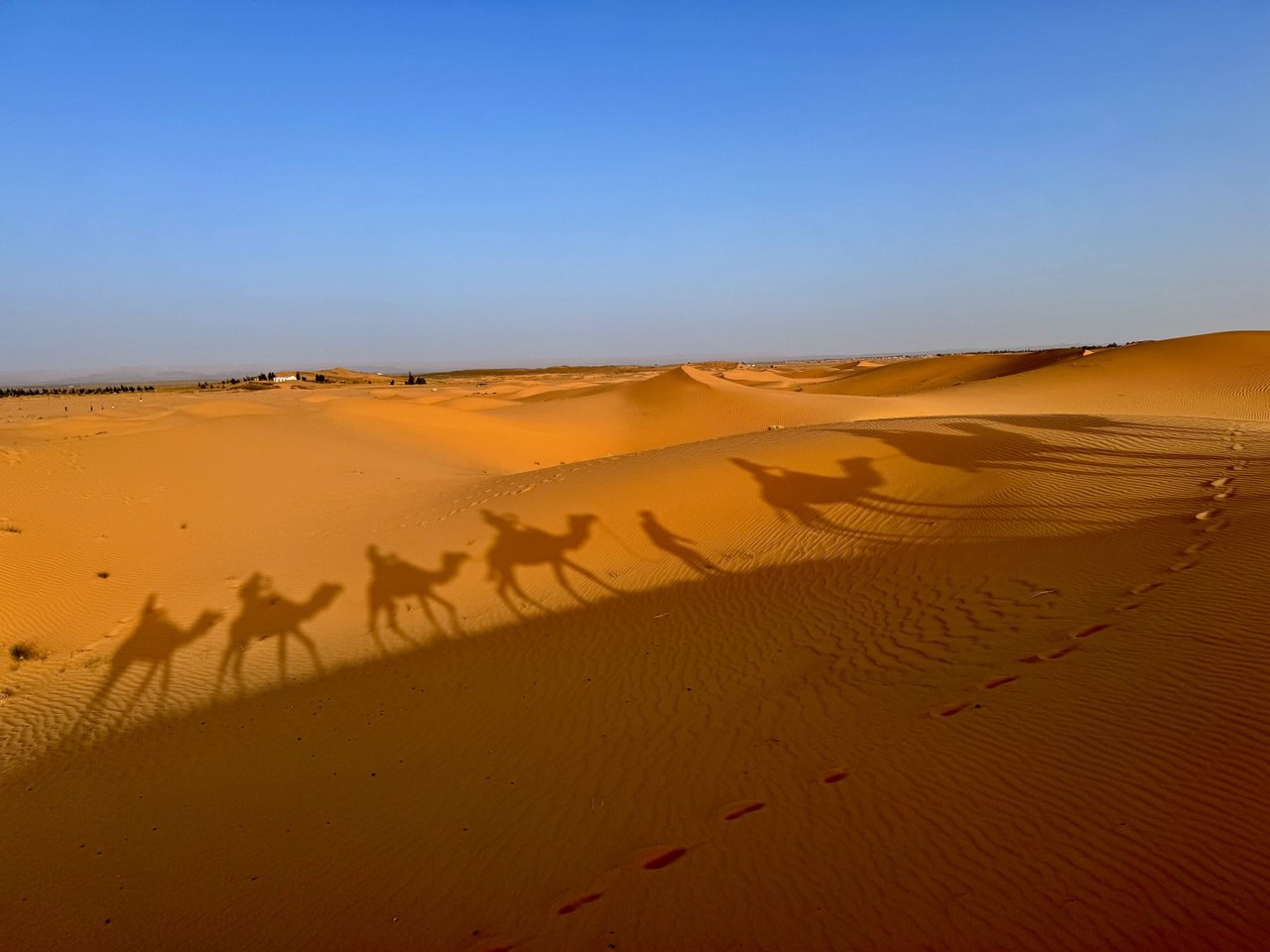 Большое приключение в Королевство Марокко (59/105)