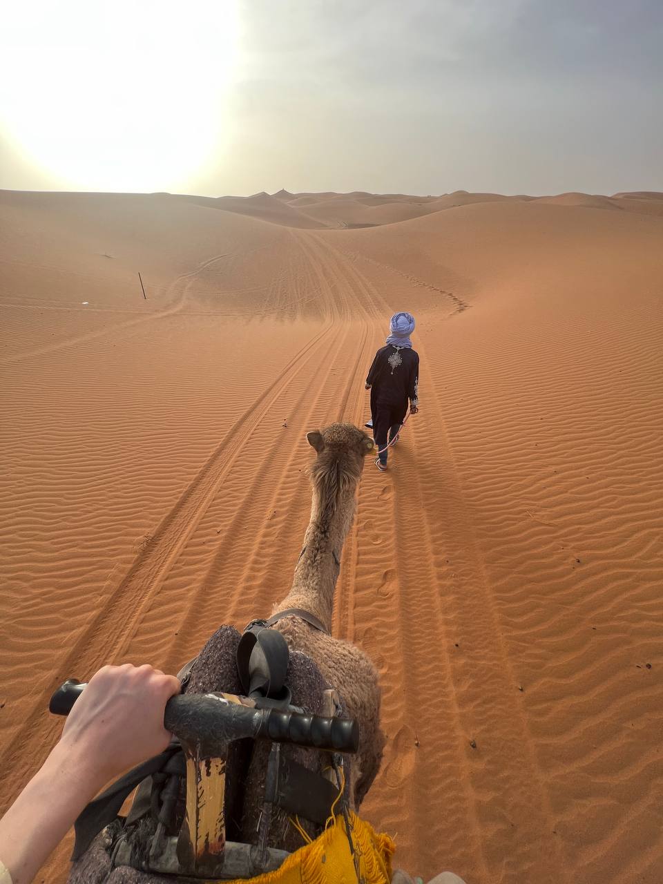 Большое приключение в Королевство Марокко (25/105)