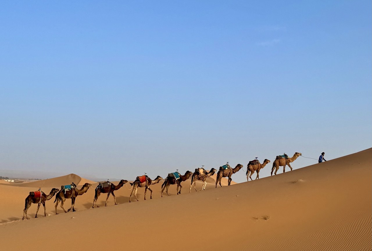 Большое приключение в Королевство Марокко (62/105)