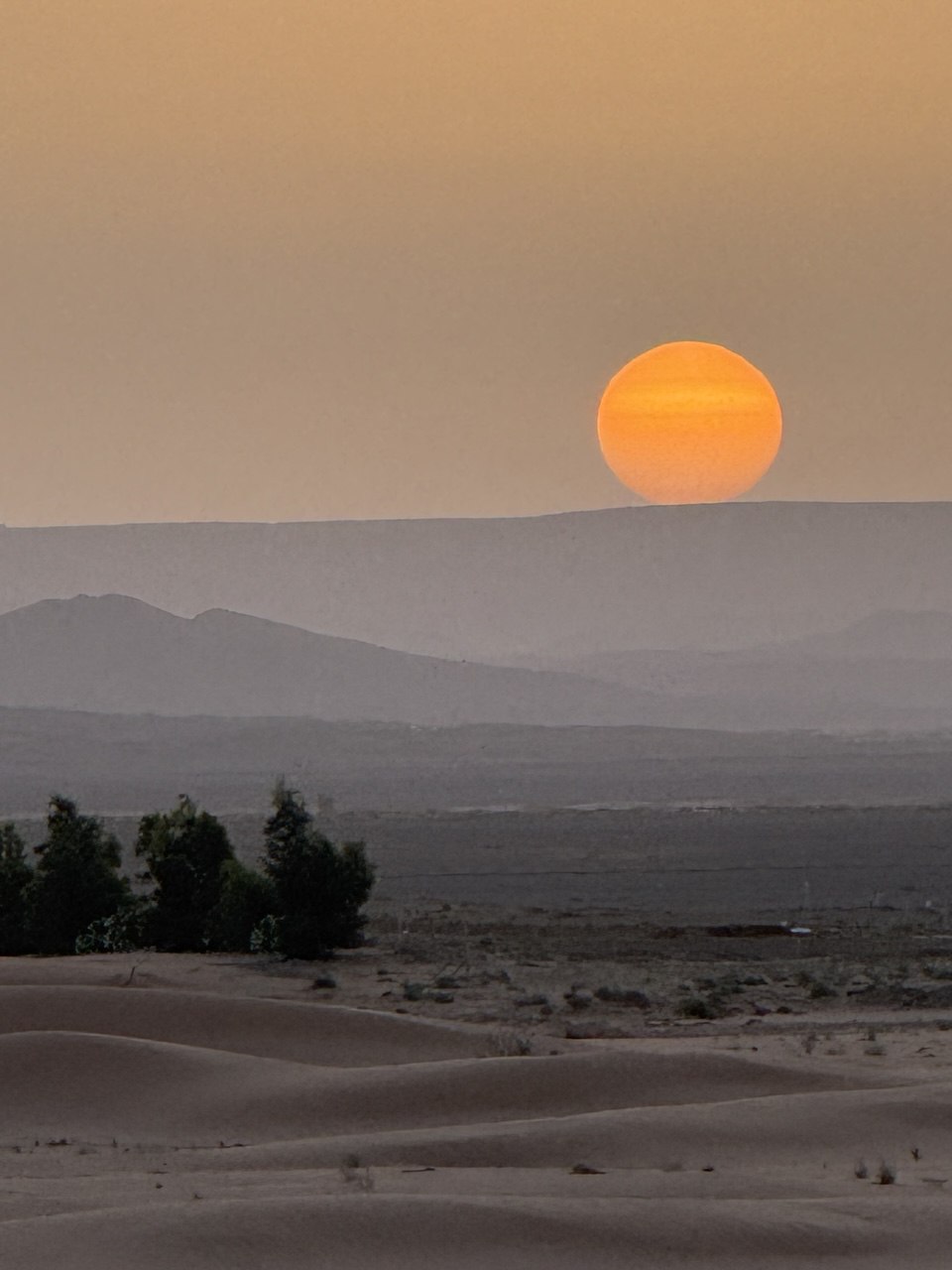 Большое приключение в Королевство Марокко (68/105)
