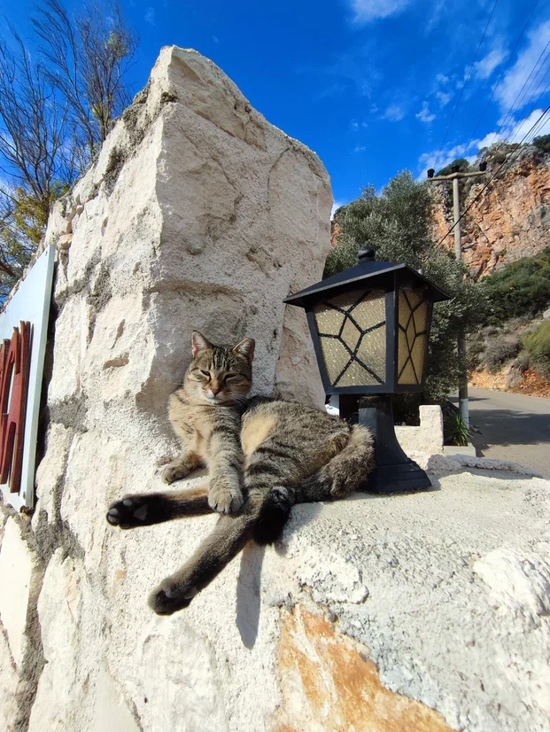 Ликийская тропа (самостоятельно) (16/38)