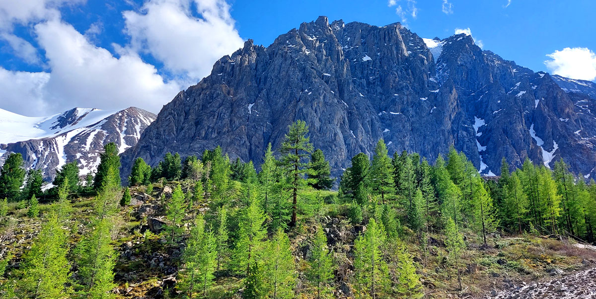 Горный лагерь на Алтае. Ущелье Актру (9/63)