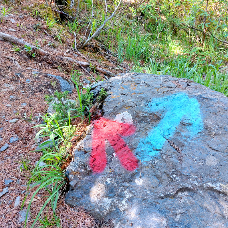 Горный лагерь на Алтае. Ущелье Актру (25/63)