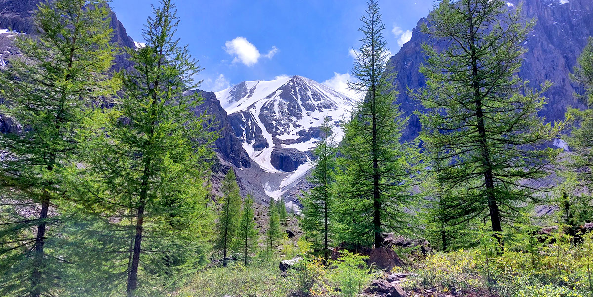 Горный лагерь на Алтае. Ущелье Актру (30/63)