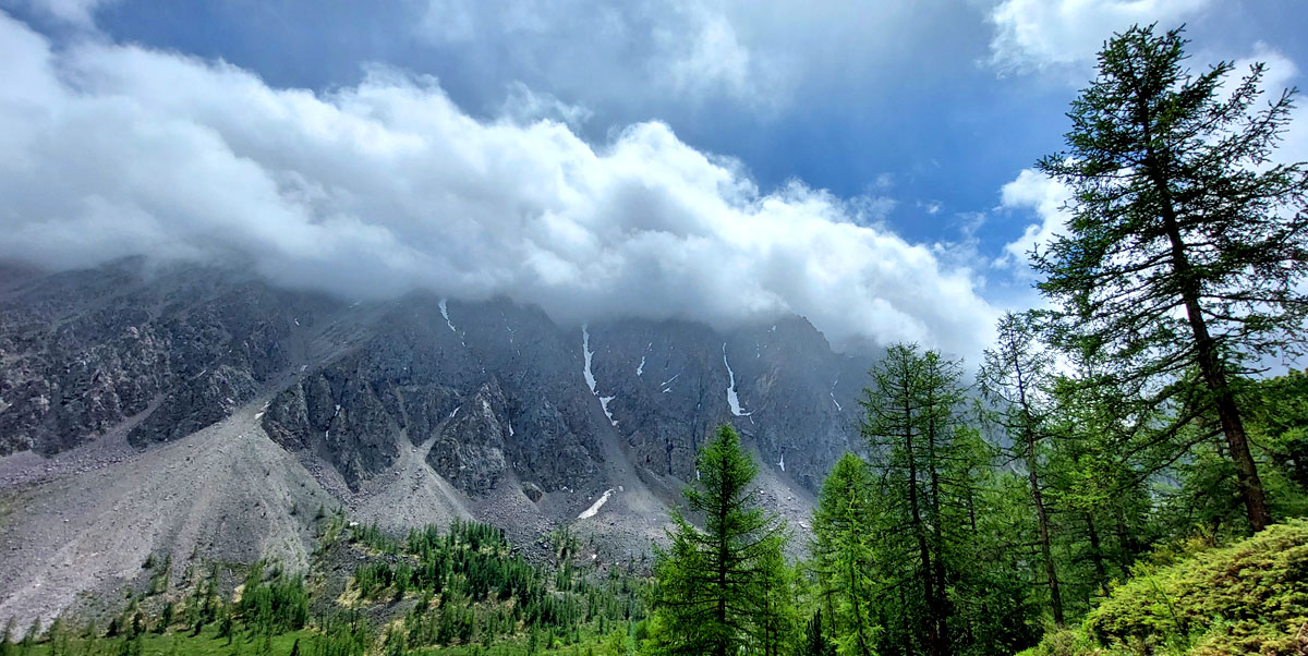 Треккинг на Алтай. Ущелье Актру (37/63)