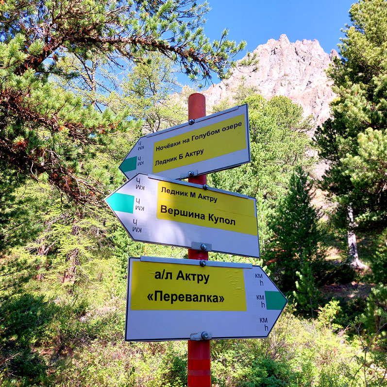 Треккинг на Алтай. Ущелье Актру (21/63)