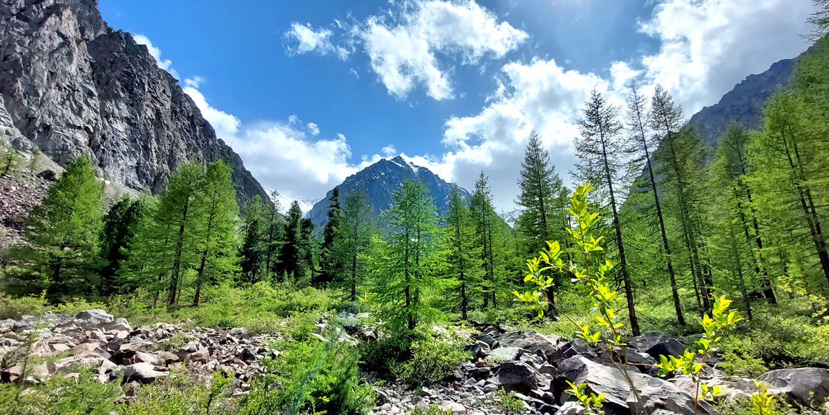 Треккинг на Алтай. Ущелье Актру (38/63)