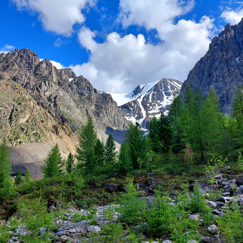 Треккинг на Алтай. Ущелье Актру (5/63)