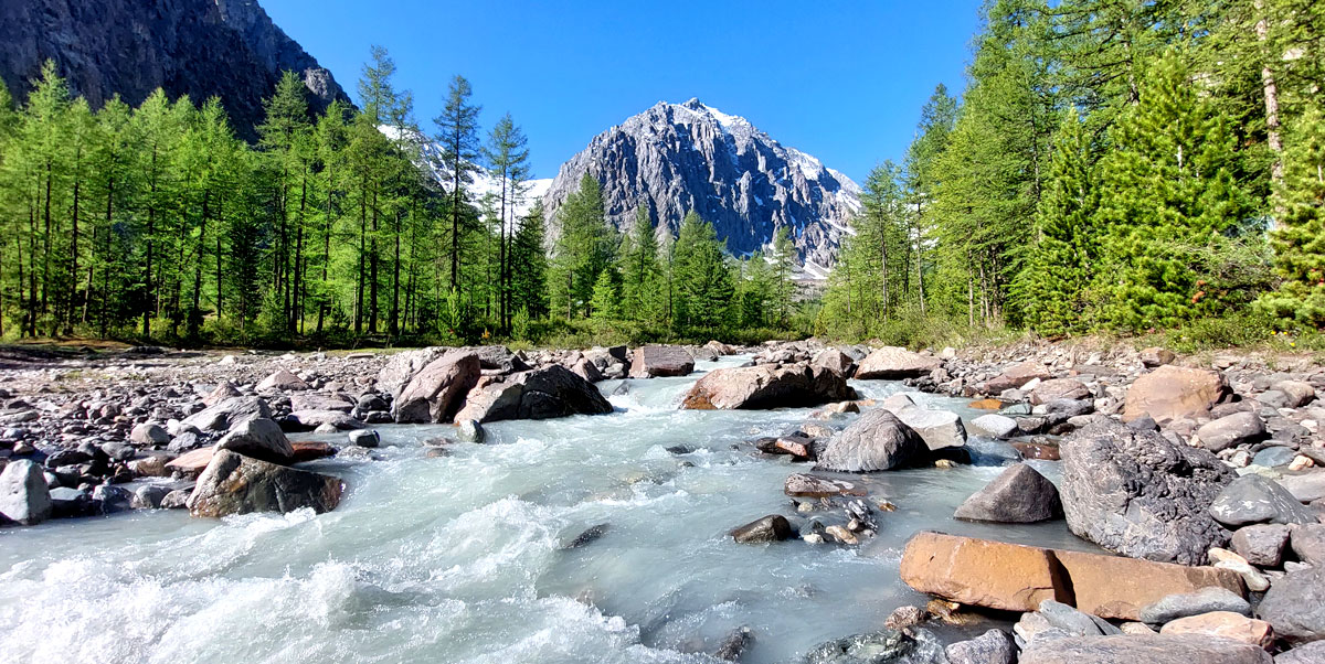 Треккинг на Алтай. Ущелье Актру (34/63)