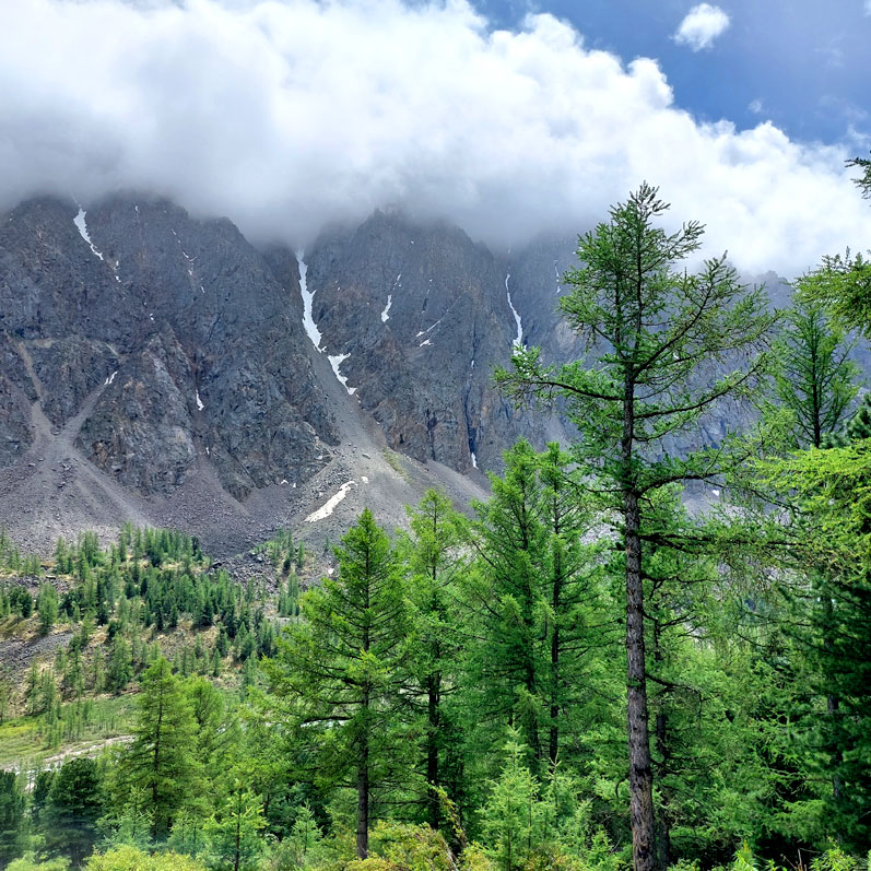 Треккинг на Алтай. Ущелье Актру (4/63)