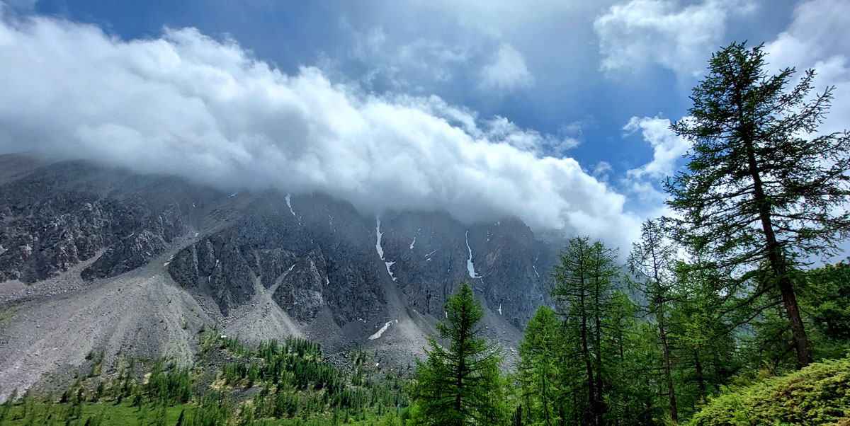Треккинг на Алтай. Ущелье Актру (26/63)