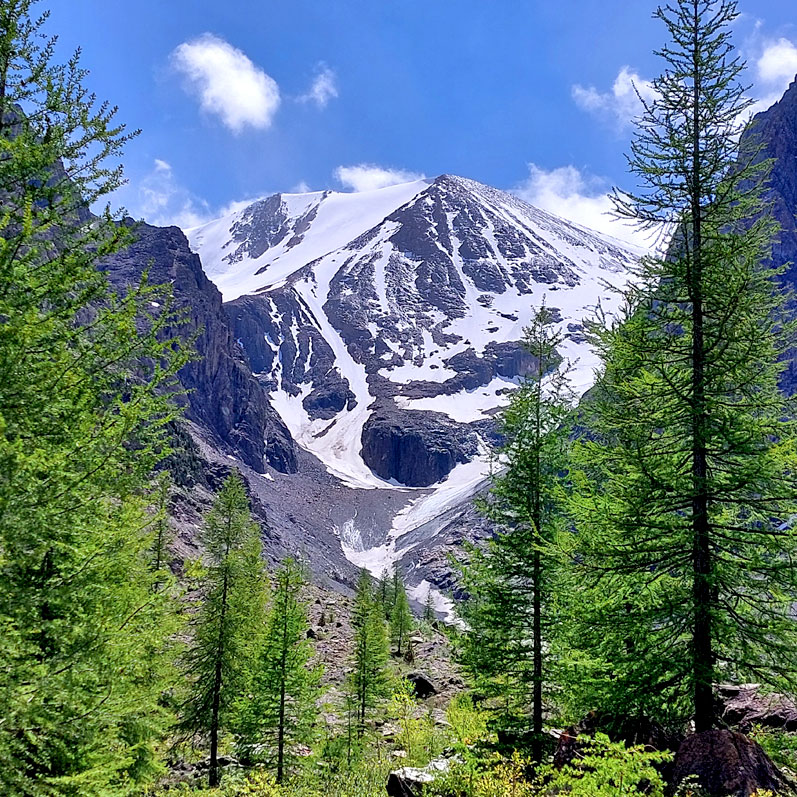 Треккинг на Алтай. Ущелье Актру (3/63)