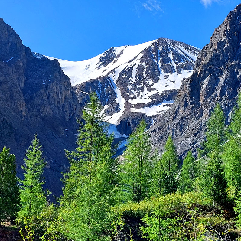 Треккинг на Алтай. Ущелье Актру (22/63)