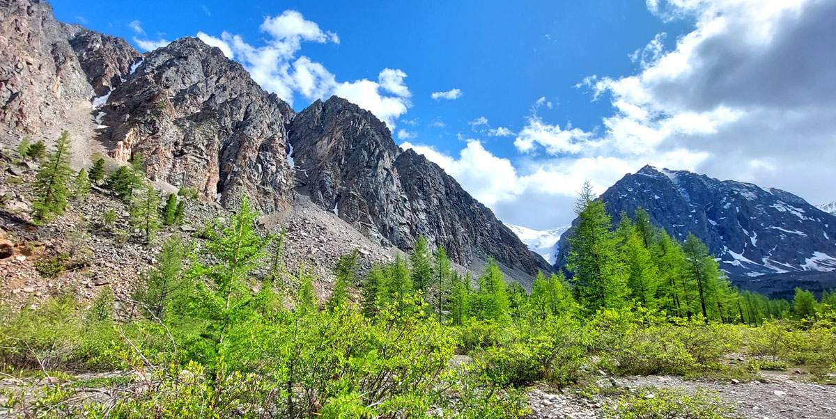 Треккинг на Алтай. Ущелье Актру (9/63)