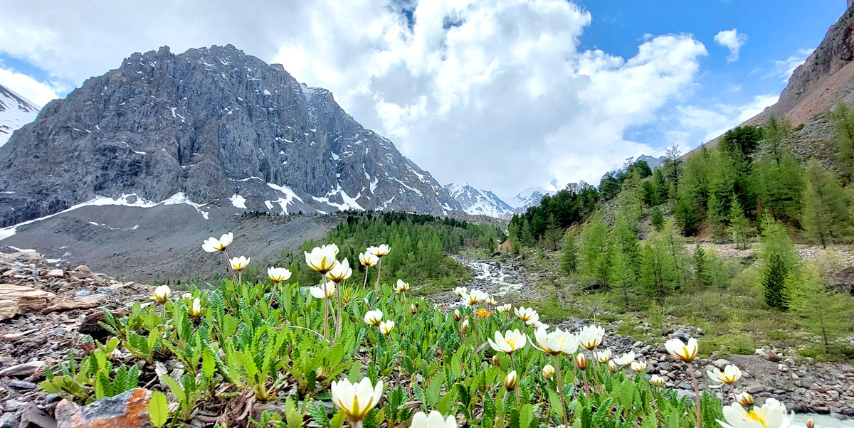 Треккинг на Алтай. Ущелье Актру (18/63)
