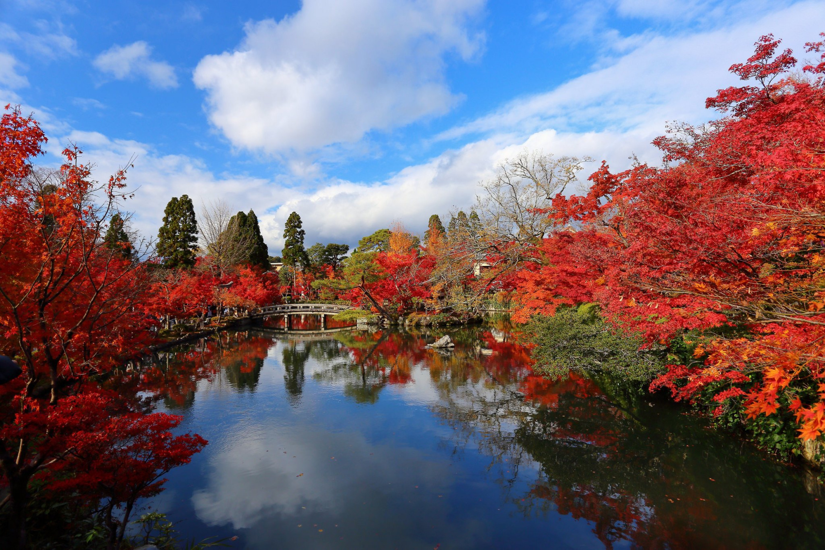 Япония. Красные клены (10/48)