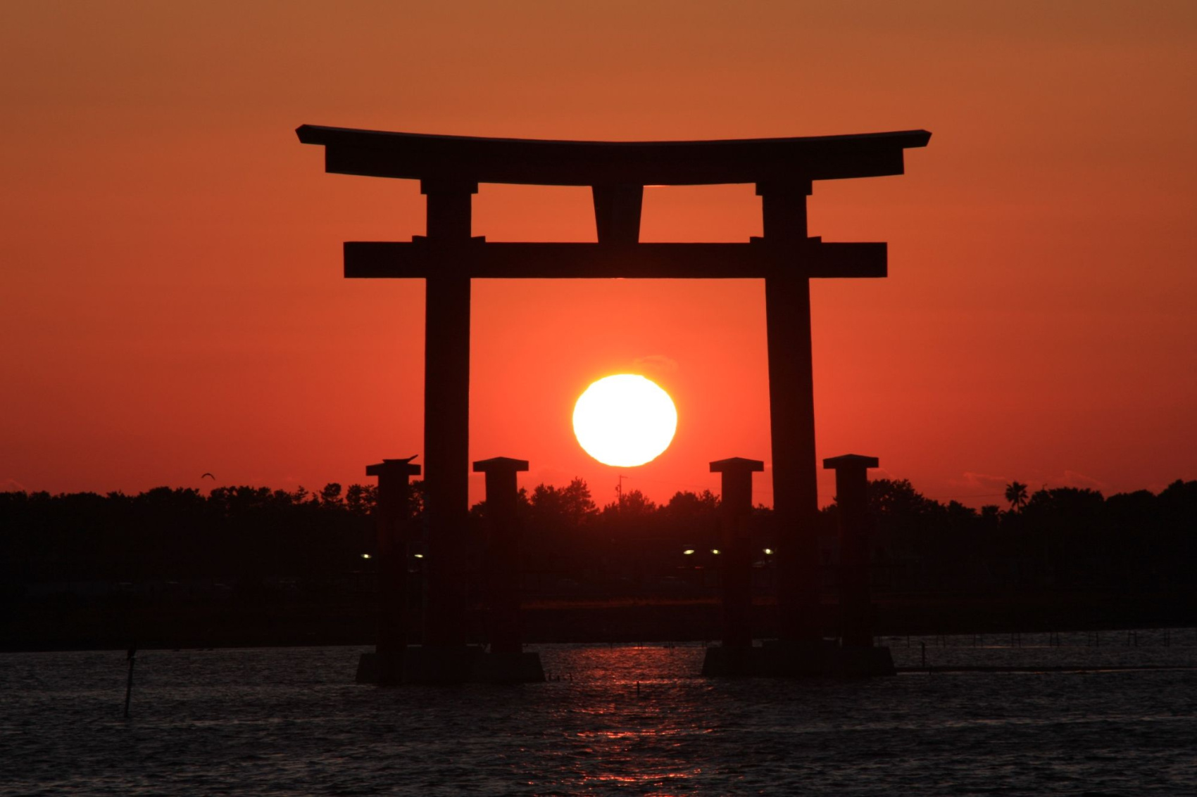 Япония. Красные клены (3/48)