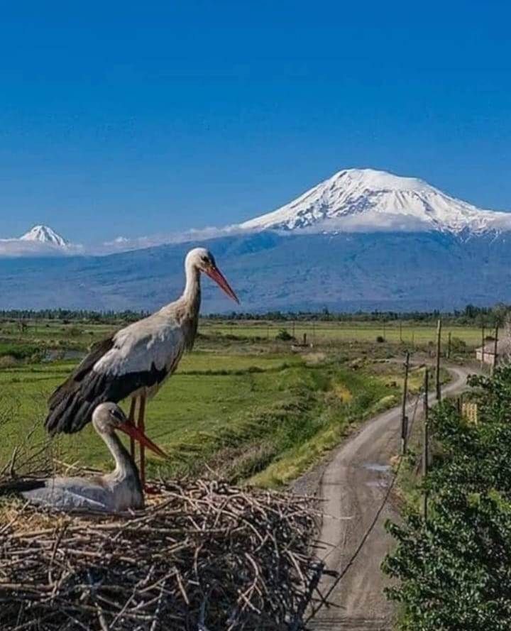 Суперблиц в Ереван!