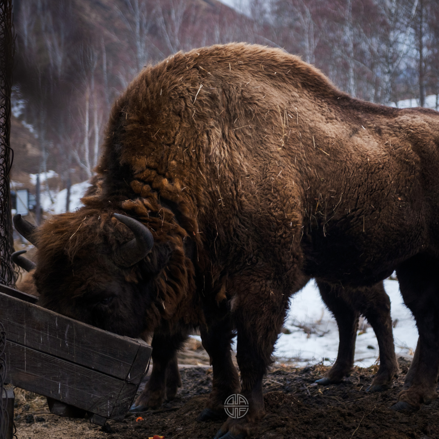 3 Дня Перезагрузки На Алтае (13/32)