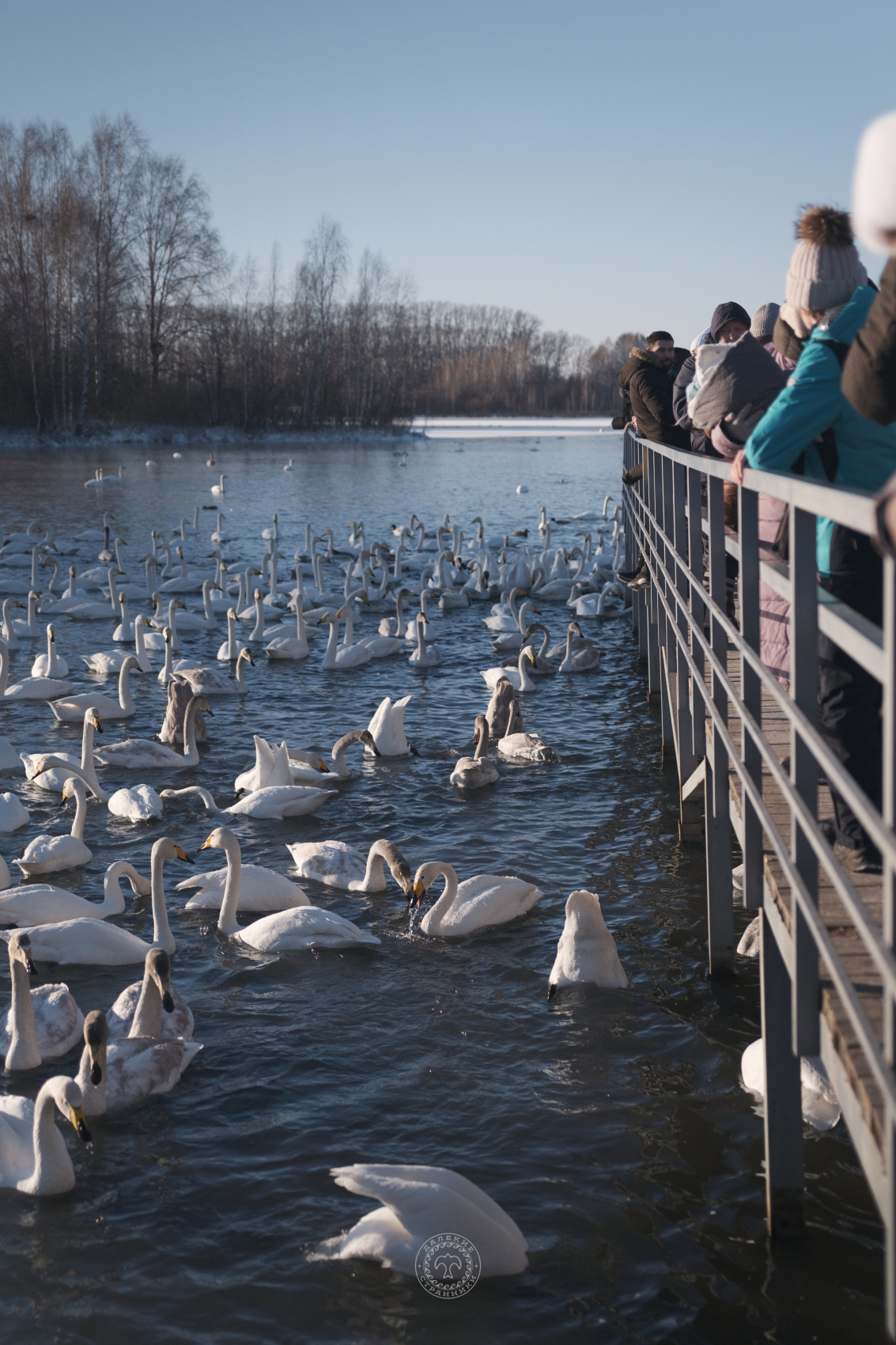 3 Дня Перезагрузки На Алтае (20/32)