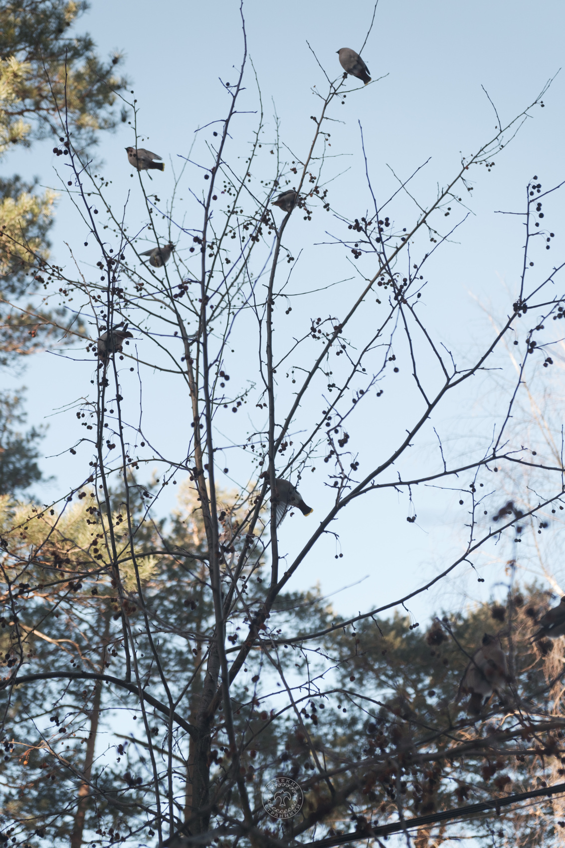 3 Дня Перезагрузки На Алтае (19/32)