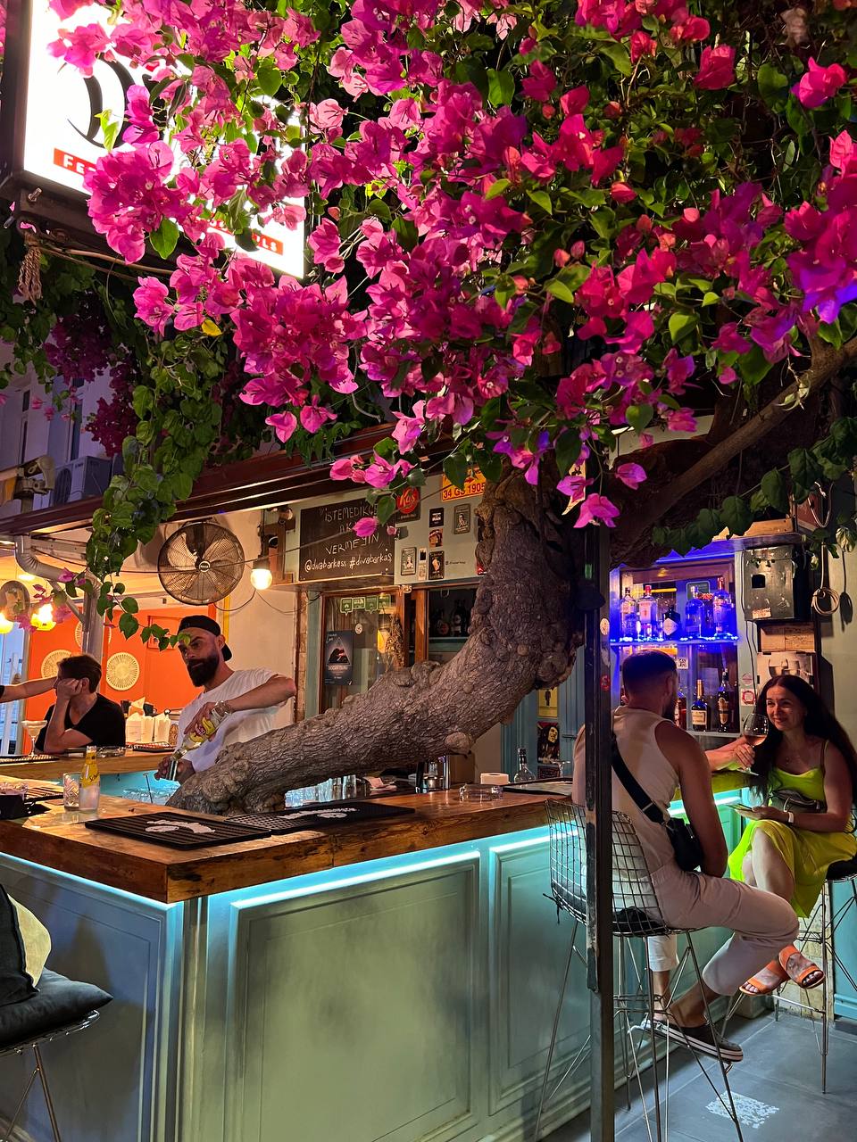 Морская Турция - яхта, вилла, пляжи ( Каш, Олюдениз, Калкан,Анталья) (90/153)