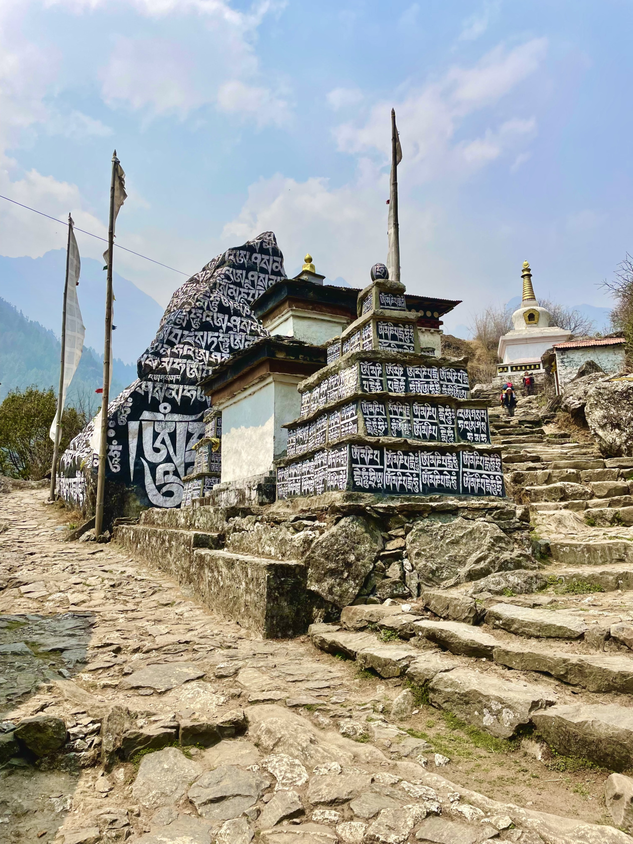 Непал. Путь к Эвересту! (28/64)