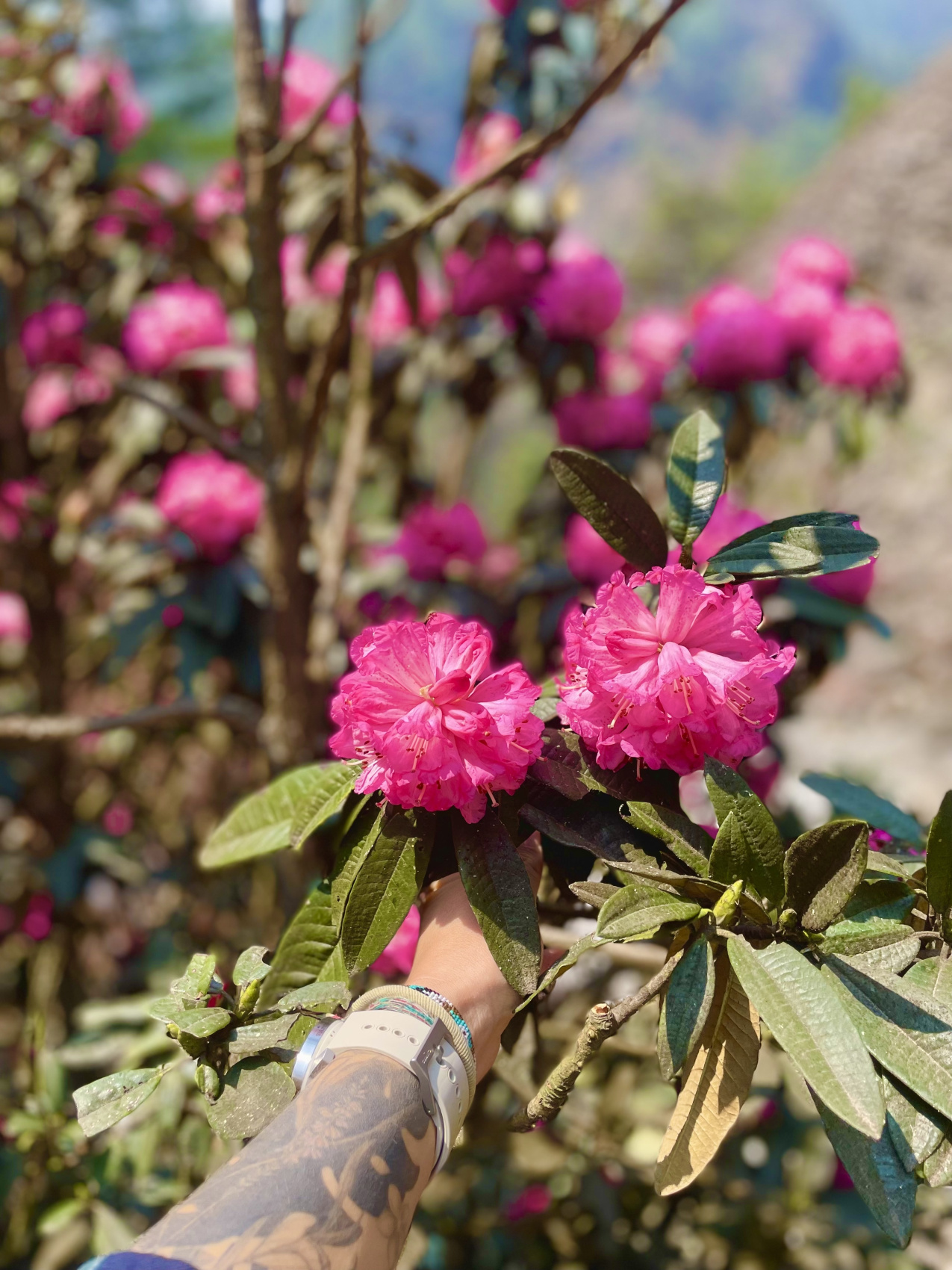 Непал. Путь к Эвересту! (34/64)