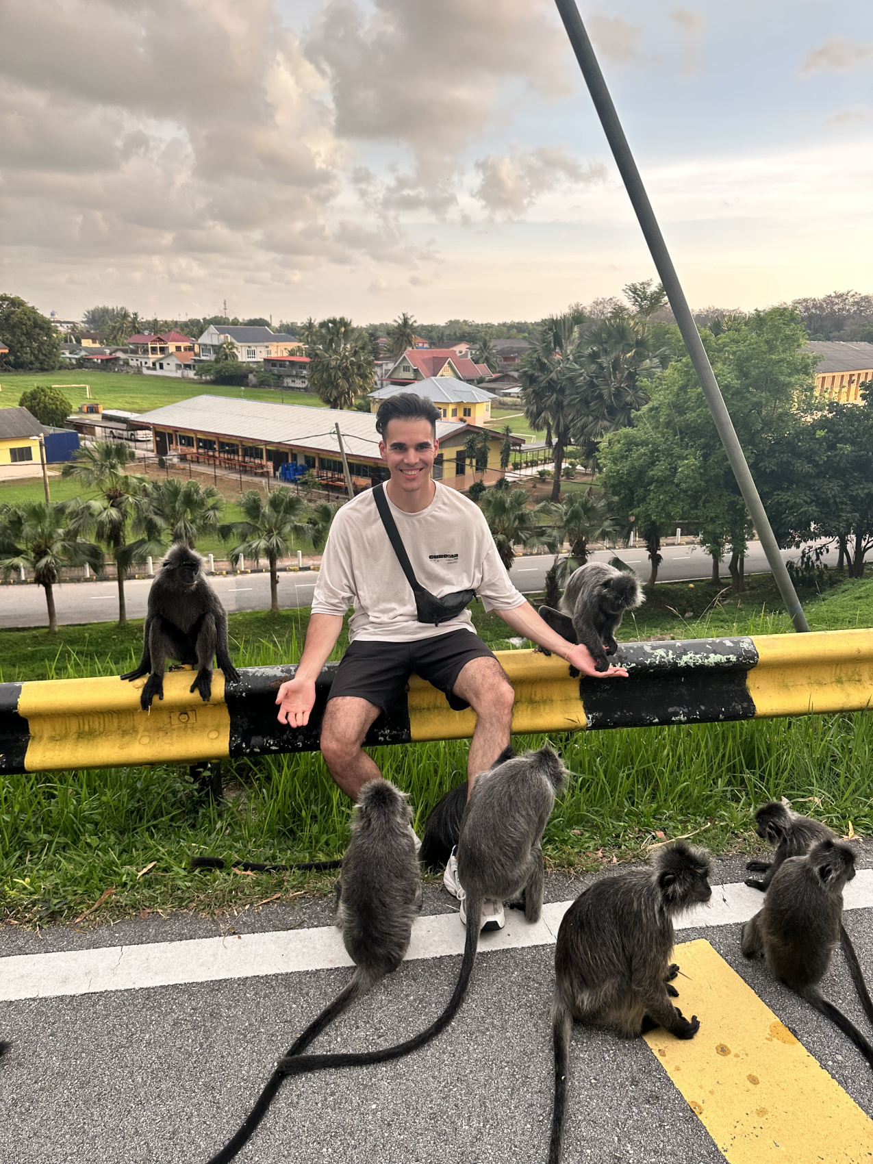 4 страны юго-восточной Азии! Сингапур, Малайзия, Таиланд, Камбоджа! (34/84)