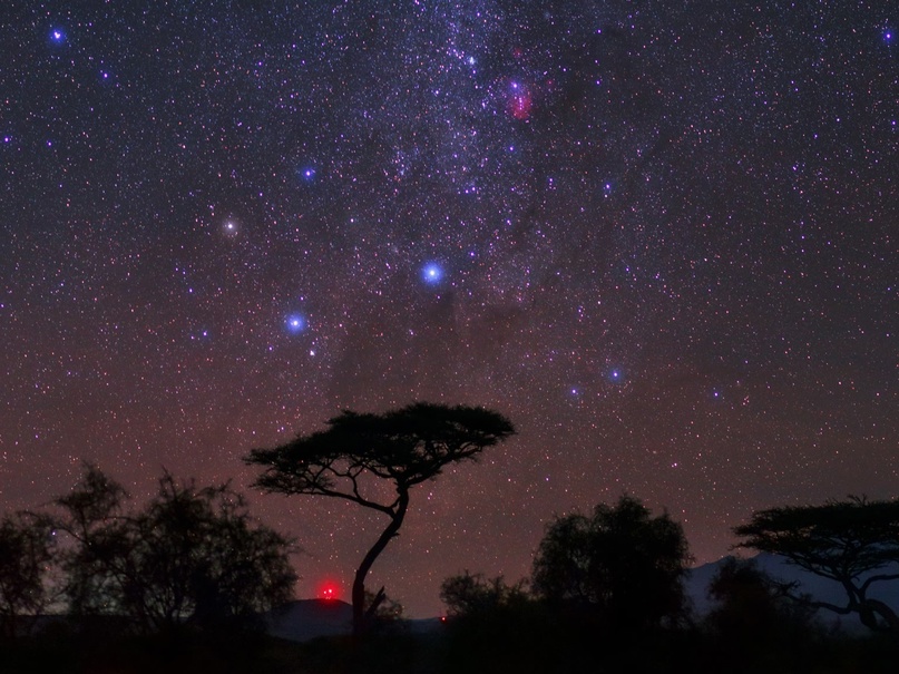 Кения: та самая Африка (20/62)