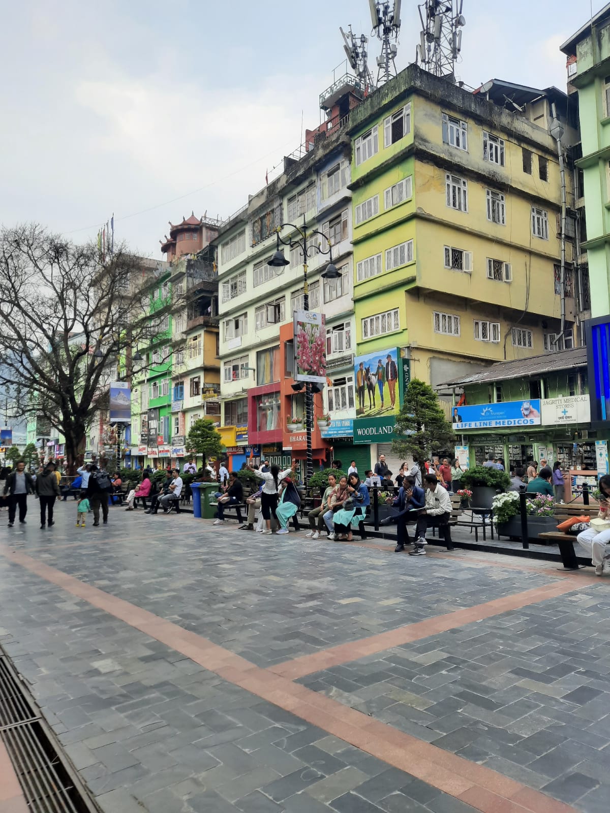 Восточные Гималаи. Дарджиллинг и Сикким. (5/7)