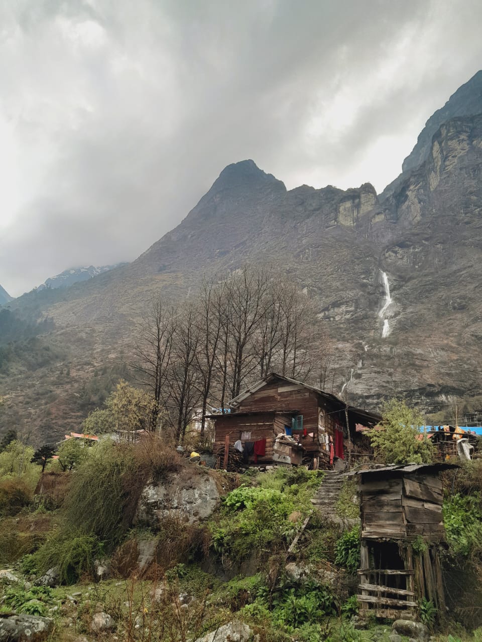 Восточные Гималаи. Дарджиллинг и Сикким. (3/7)