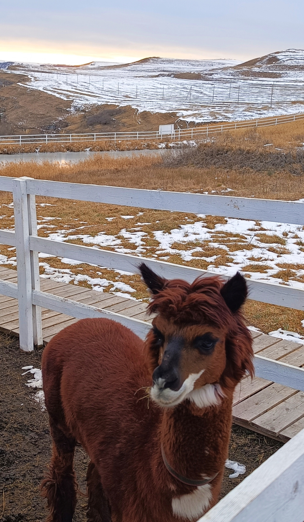 Влюбиться в Кавказ за 5 дней (31/48)