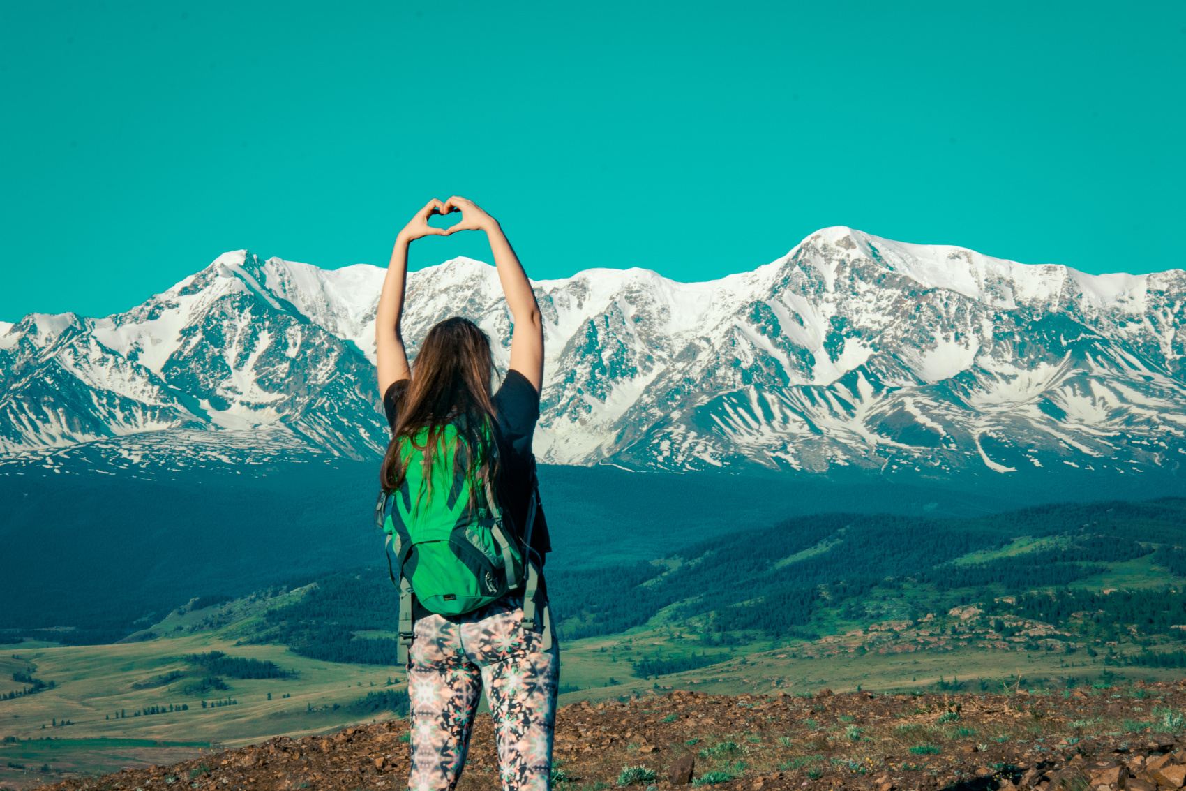 Большое цветение маральника на Алтае 2026 (5/77)