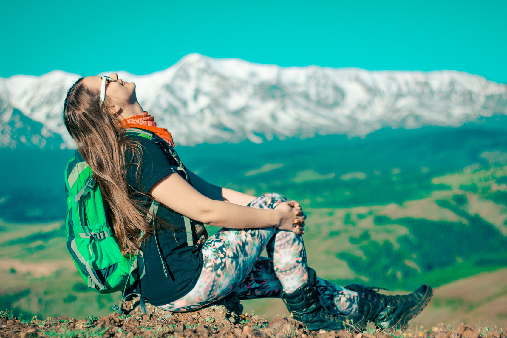 Большое цветение маральника на Алтае 2026 (16/77)