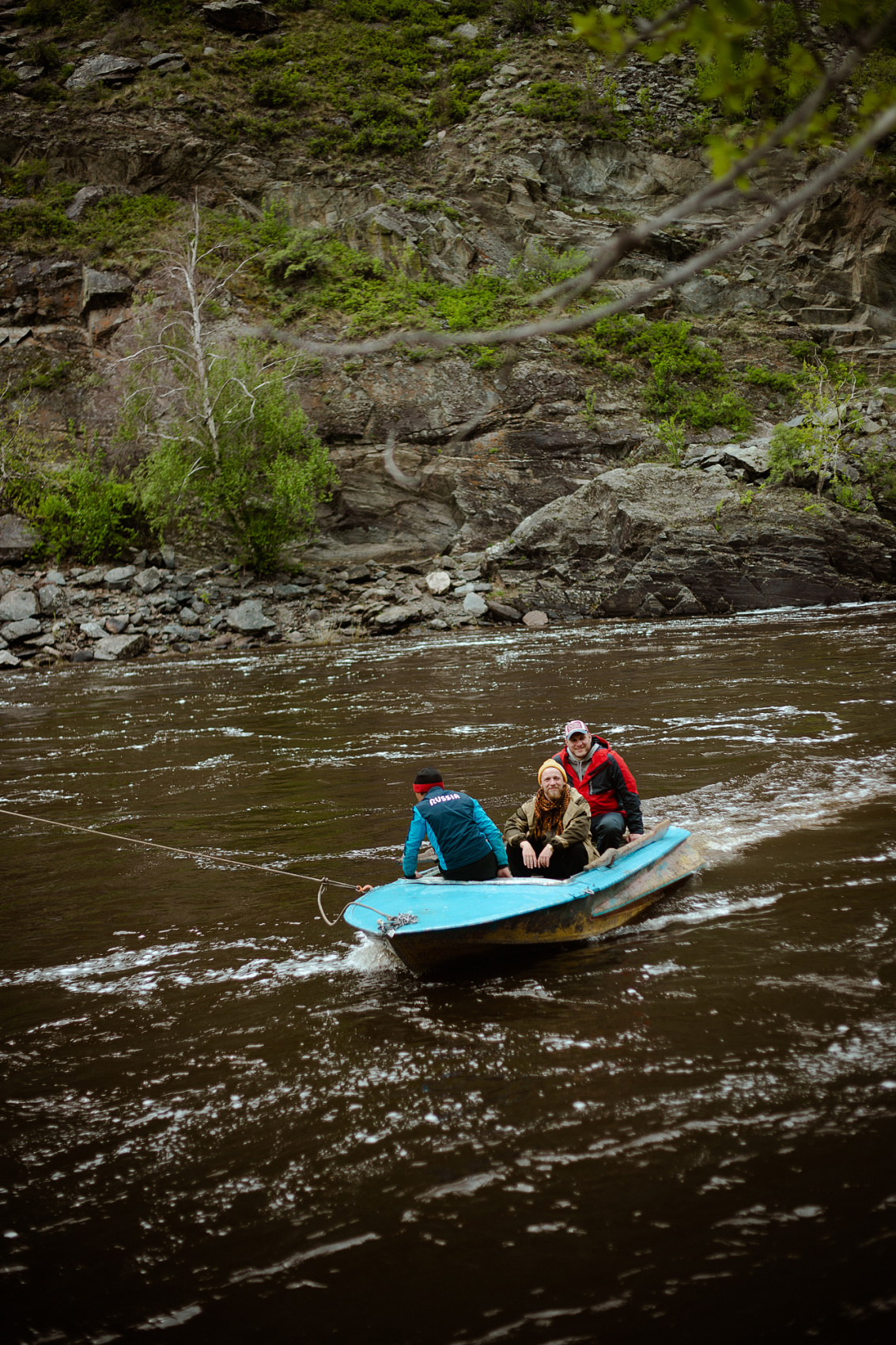 Большое цветение маральника на Алтае 2026 (45/77)