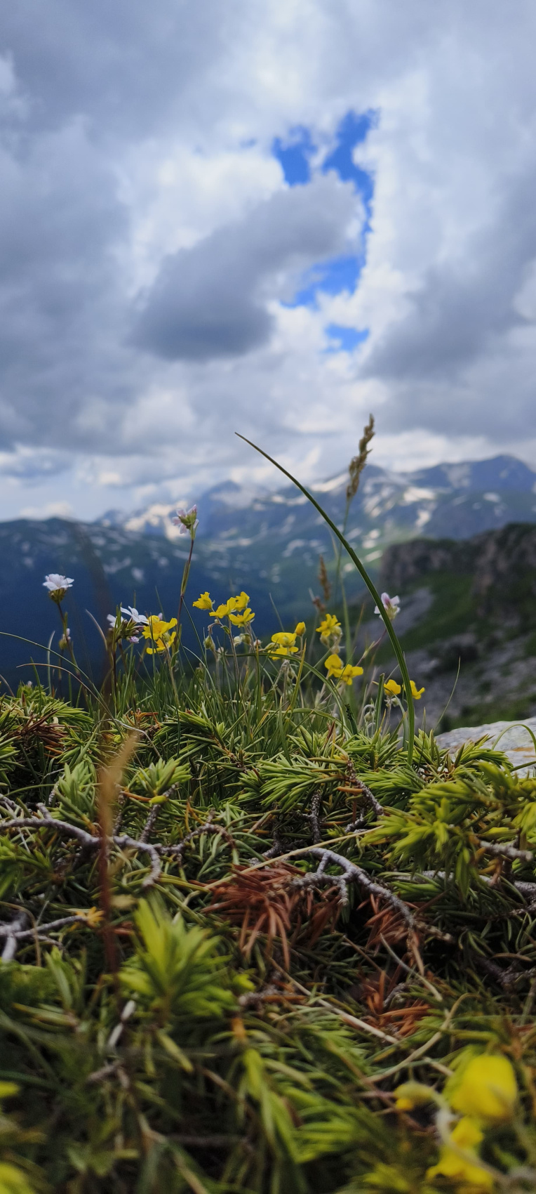 Конный тур в Адыгее. Зима, весна (5/20)