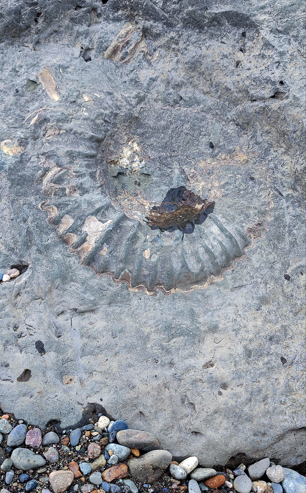 Конный тур в Адыгее. Зима, весна (8/20)