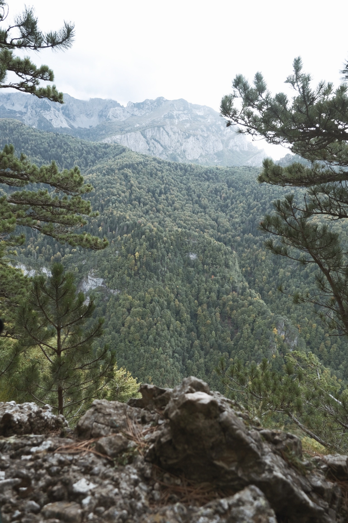Балканы. Евровояж (20/70)