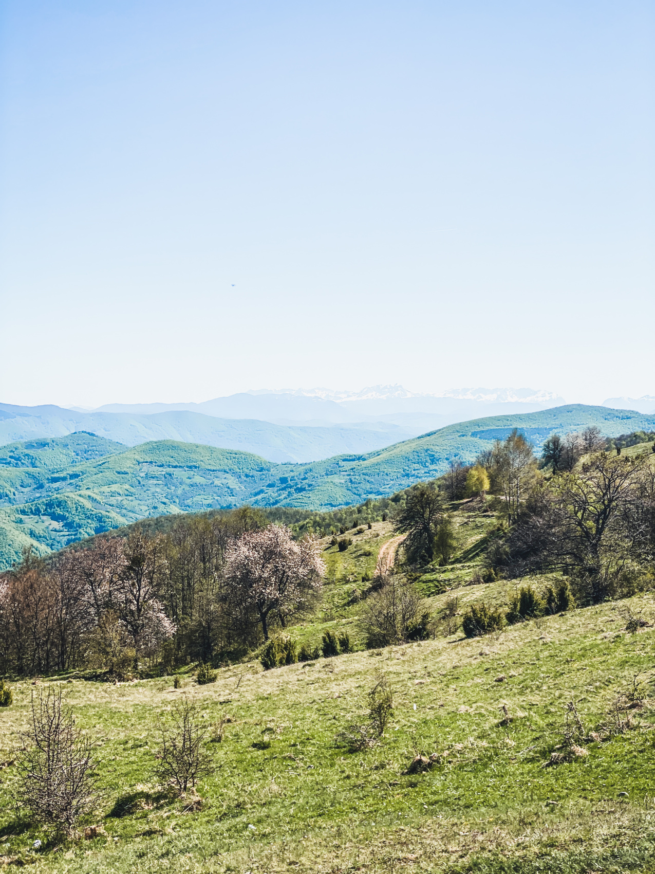 Балканы. Евровояж (14/70)