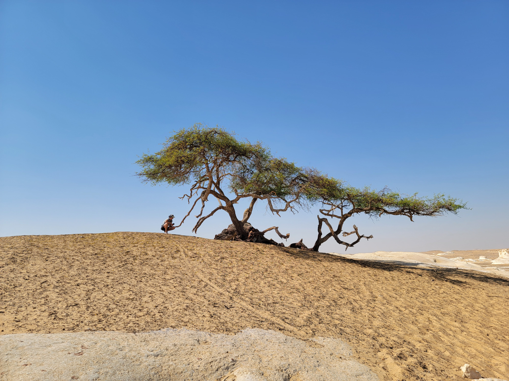 Путешествие МЕЧТЫ по Египту: Круиз, Александрия, Пустыня и море! (33/87)