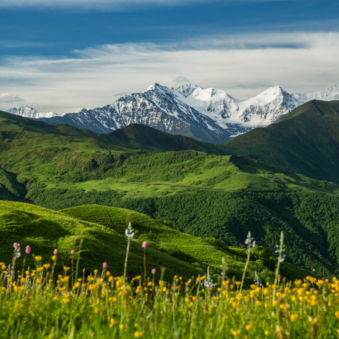 Тур в Чеченскую Республику. Всё Включено. Комфорт Плюс (2/36)