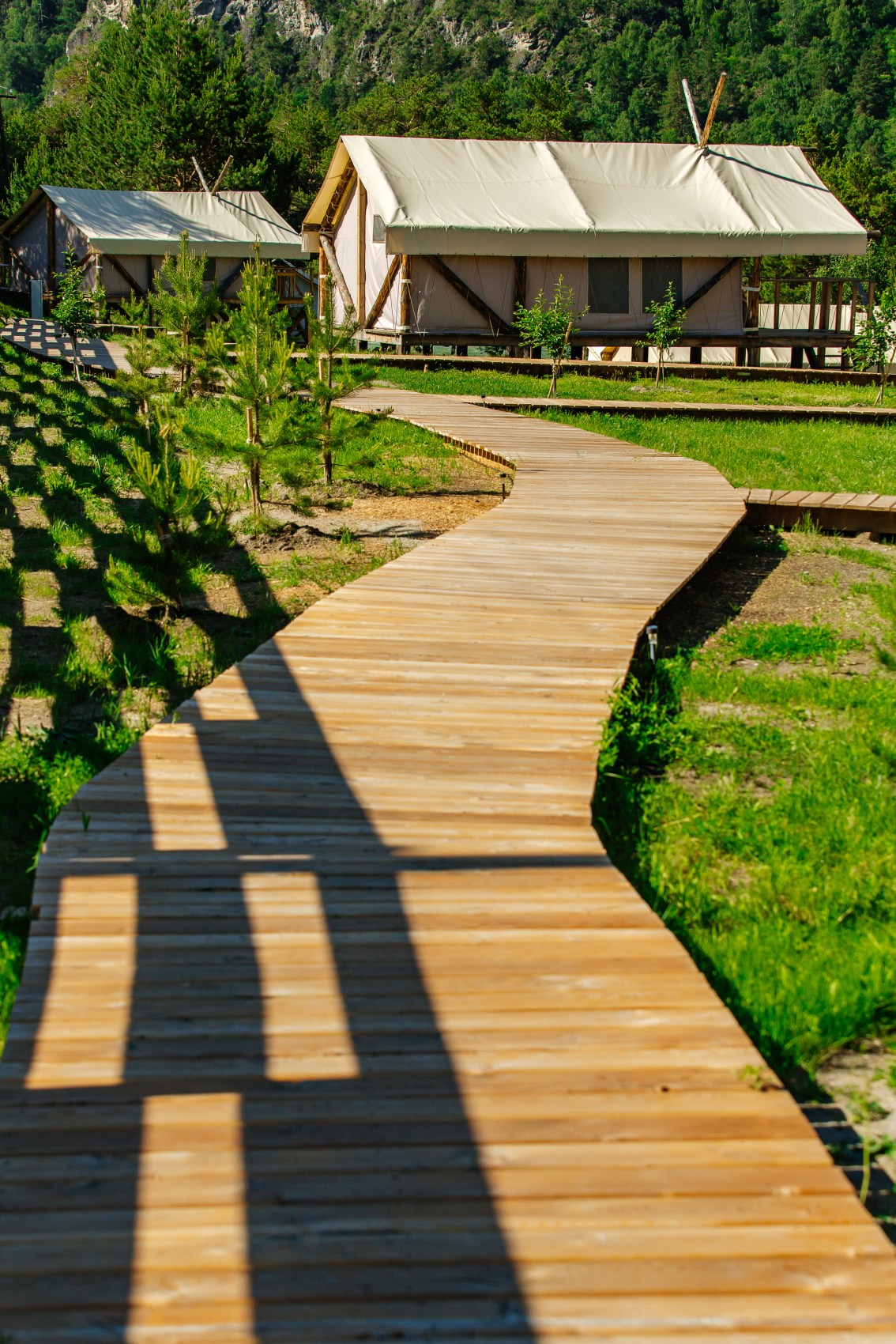 Алтай. Экстра комфорт и самые топовые места! (9/37)