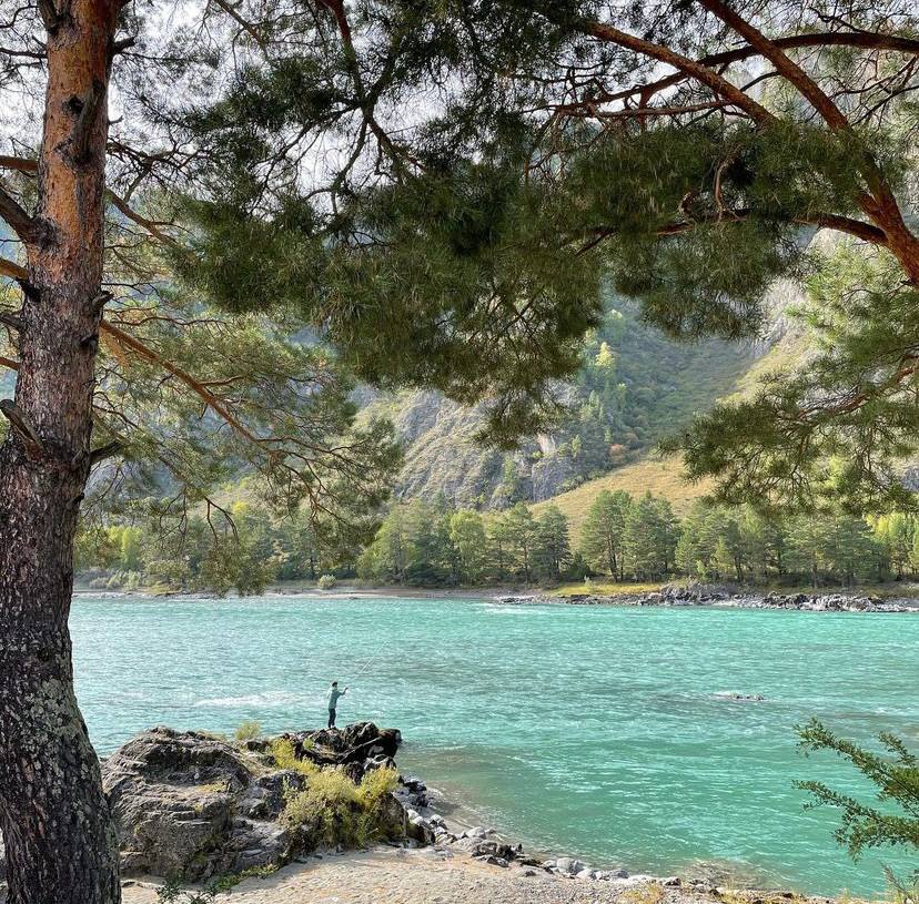 Алтай. Экстра комфорт и самые топовые места! (3/37)