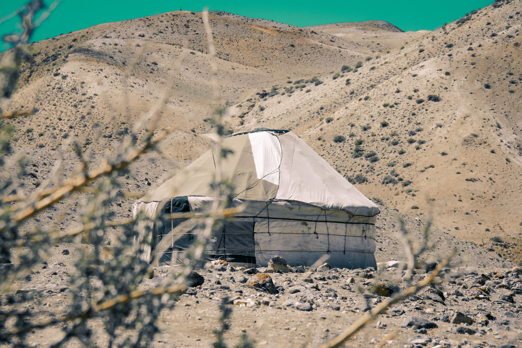 Лучшее На Алтае 2026. Легкий тур до Монголии по Чуйскому тракту! (12/58)