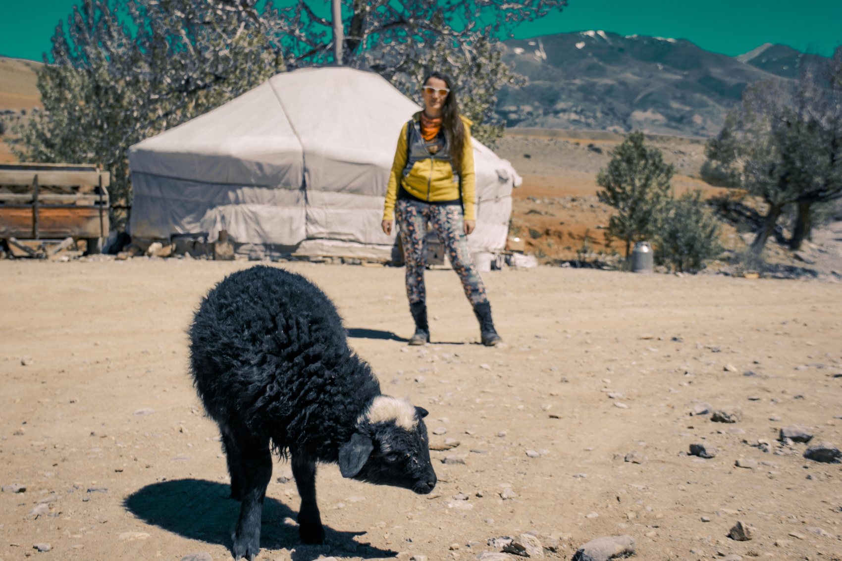 Лучшее На Алтае 2026. Легкий тур до Монголии по Чуйскому тракту! (22/58)