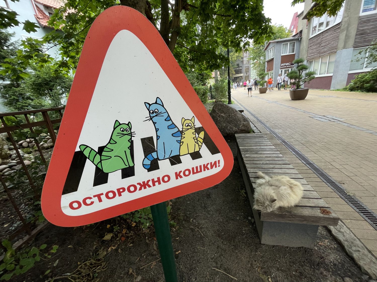 Калининград в поисках Пруссии (7/22)